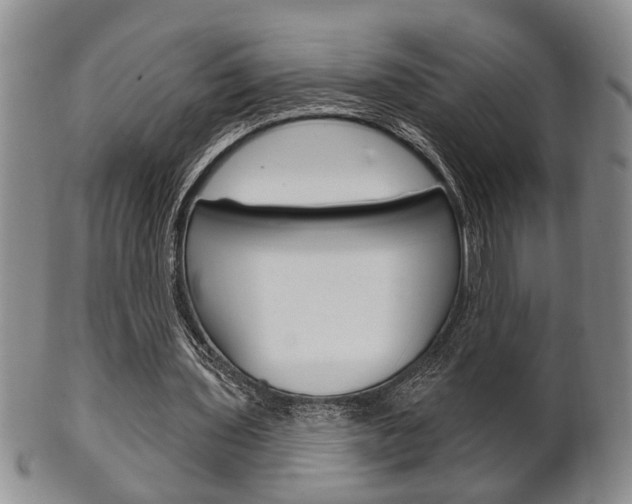X0000102500435200808080948