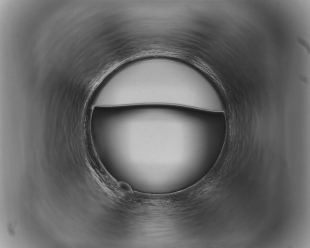 X0000102500436200808080948