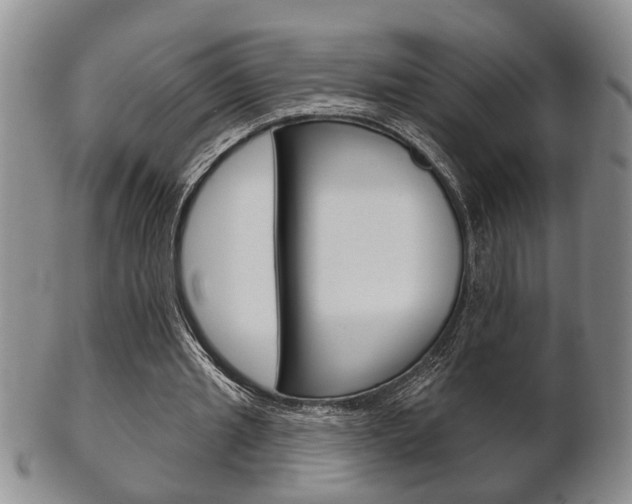 X0000102500437200808080948