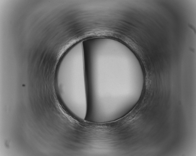 X0000102500438200808080948