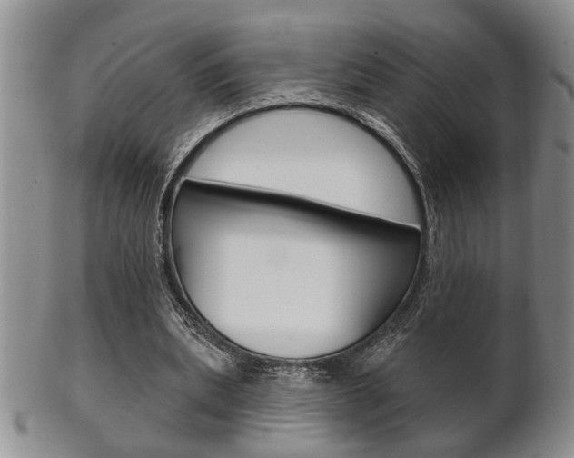 X0000102500439200808080948