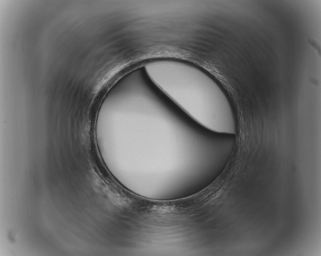X0000102500440200808080948