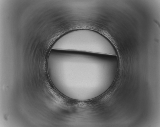 X0000102500441200808080948