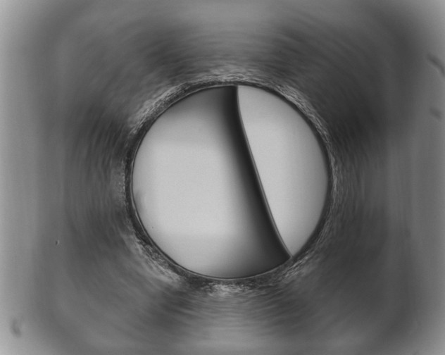 X0000102500442200808080948