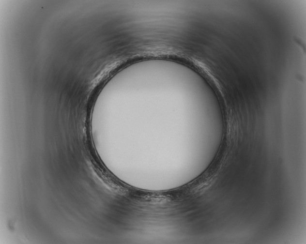 X0000102500443200808080948