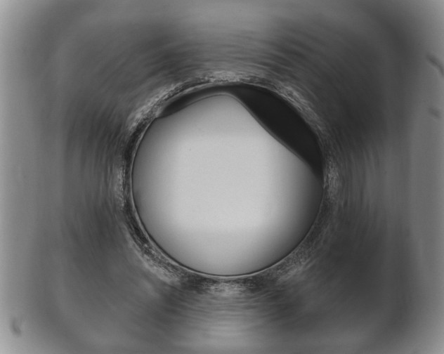X0000102500444200808080948