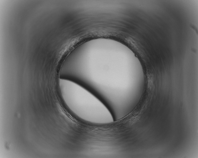 X0000102500447200808080948