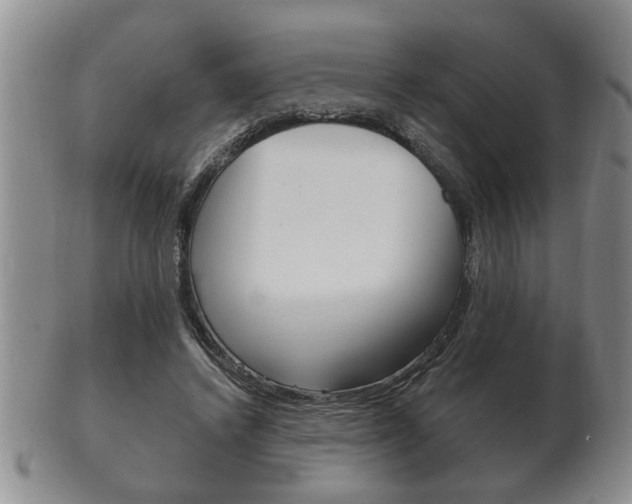 X0000102500448200808080948