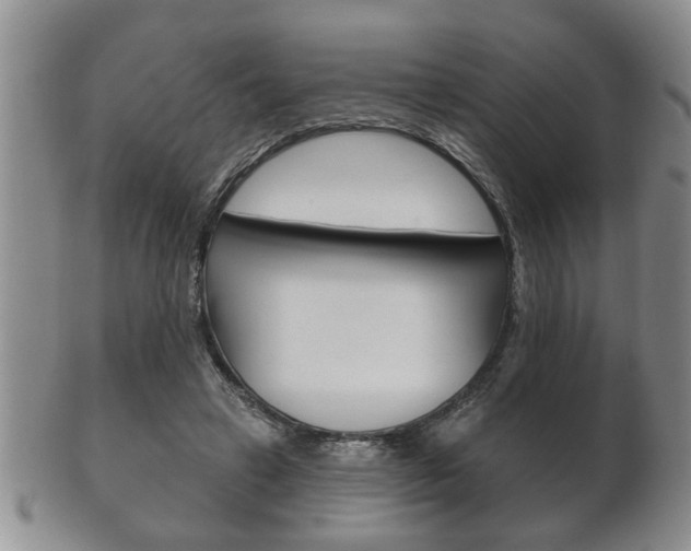 X0000102500449200808080948