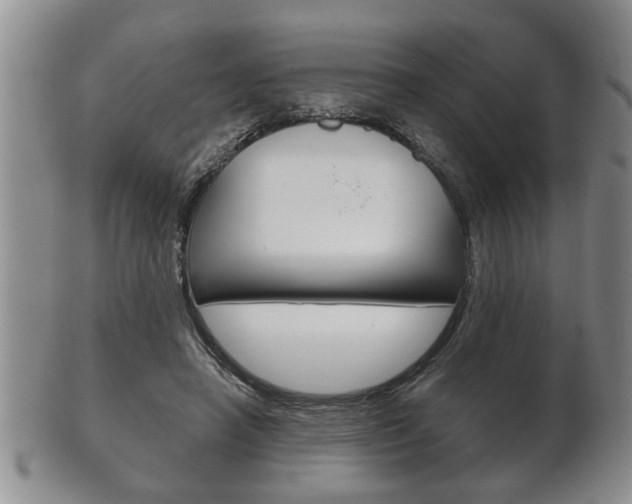 X0000102500450200808080948