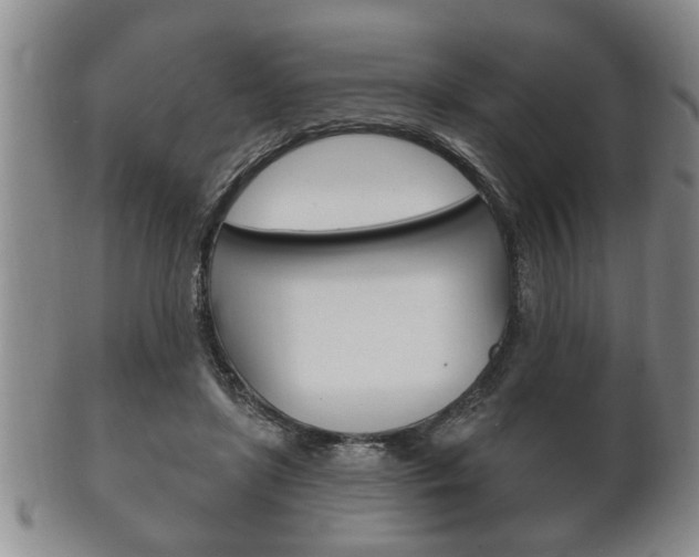 X0000102500451200808080948