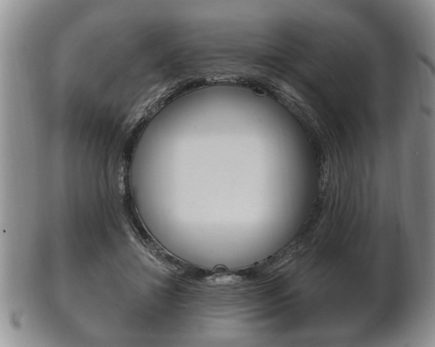 X0000102500452200808080948