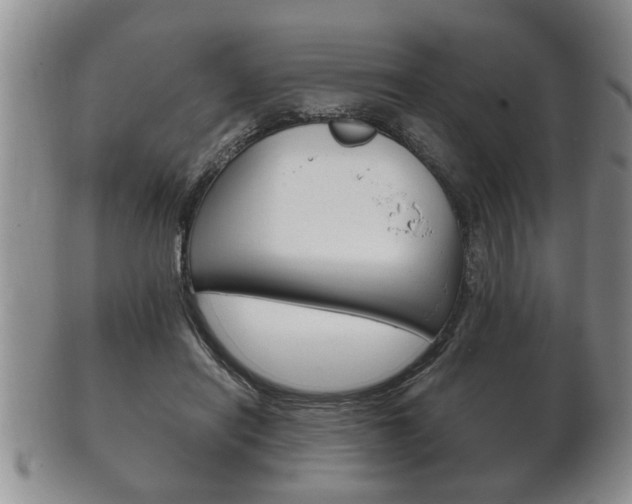 X0000102500454200808080948