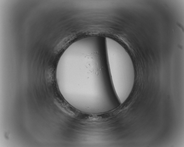 X0000102500455200808080948