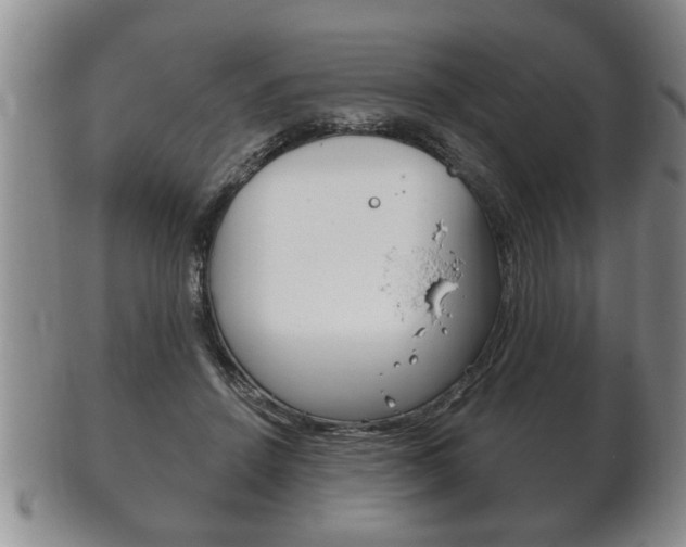 X0000102500456200808080948