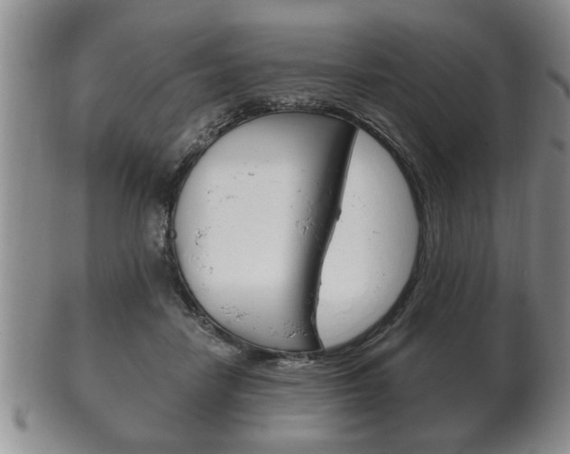 X0000102500458200808080948