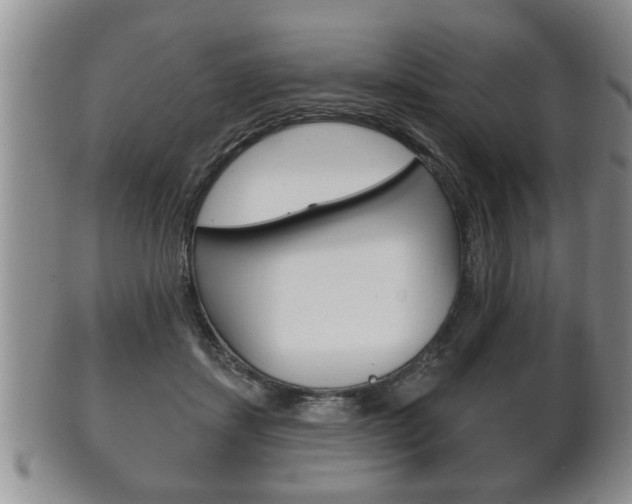 X0000102500459200808080948