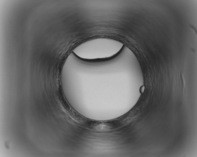 X0000102500460200808080949