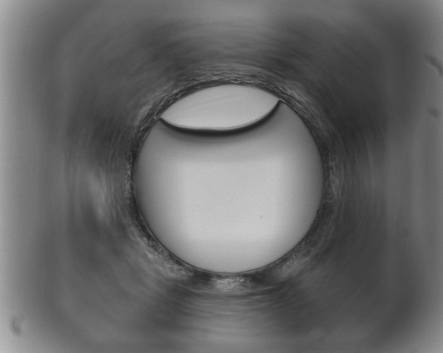 X0000102500461200808080949