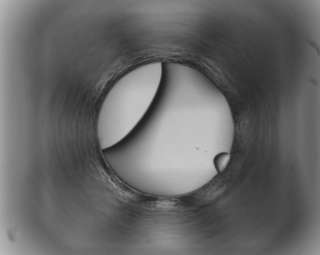 X0000102500462200808080949