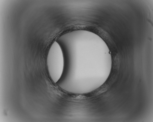 X0000102500463200808080949