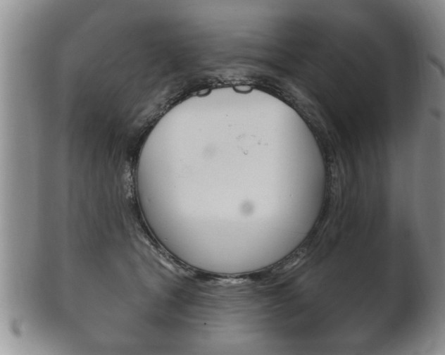 X0000102500465200808080949