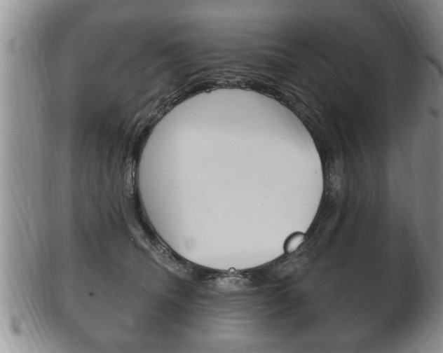 X0000102500468200808080949