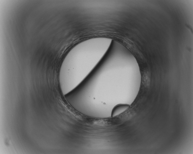 X0000102500470200808080949