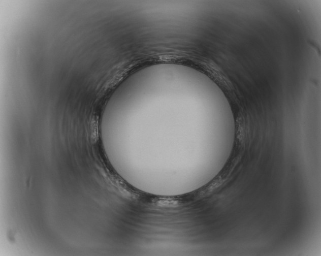 X0000102500471200808080949