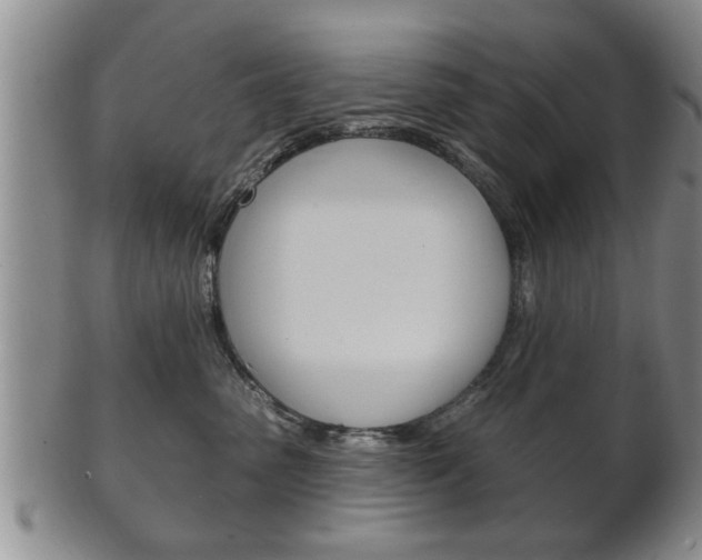 X0000102500475200808080949