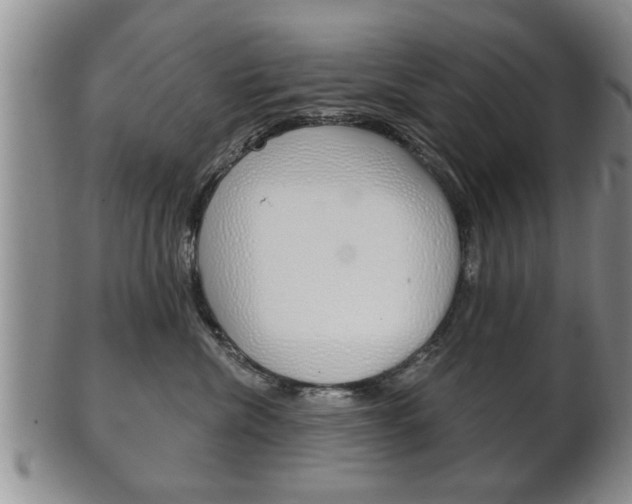 X0000102500476200808080949