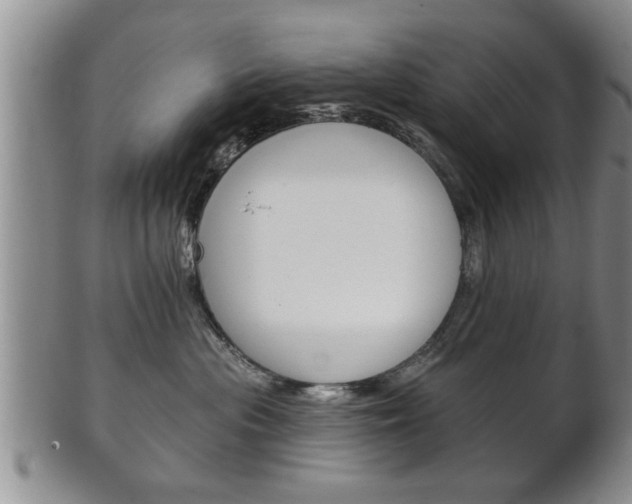X0000102500477200808080949