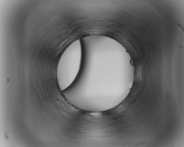 X0000102500478200808080949