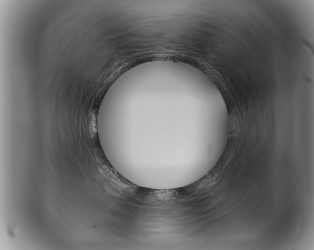 X0000102500479200808080949