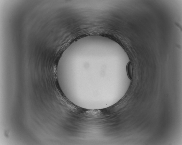 X0000102500480200808080949