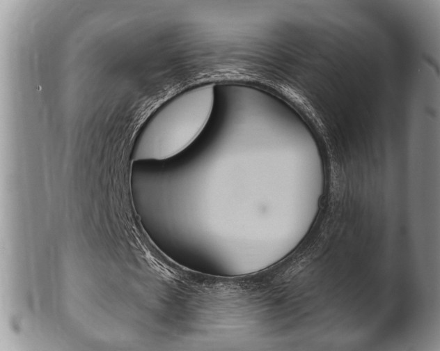 X0000102500481200808080948