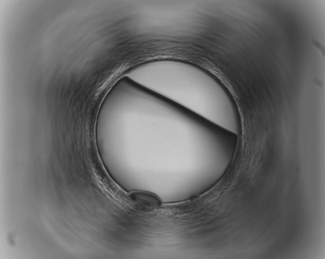 X0000102500482200808080948