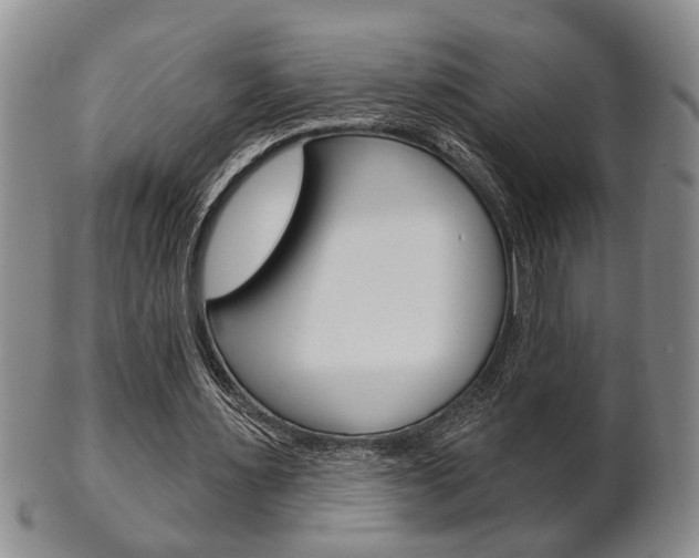 X0000102500483200808080948