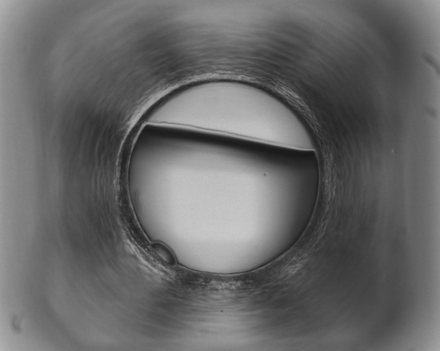 X0000102500484200808080948