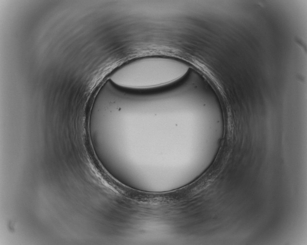 X0000102500485200808080948