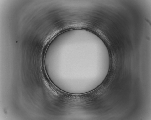 X0000102500486200808080948