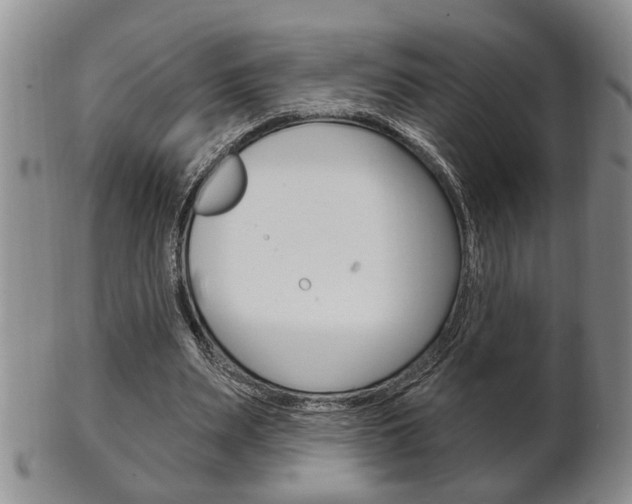 X0000102500487200808080948