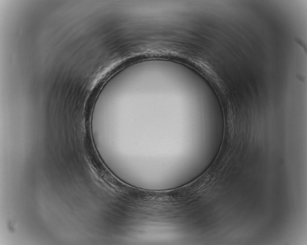 X0000102500488200808080948