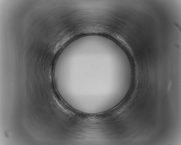 X0000102500489200808080948