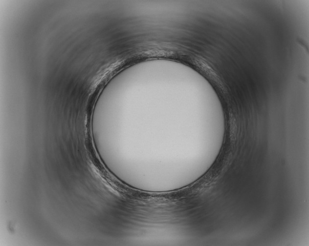 X0000102500490200808080948