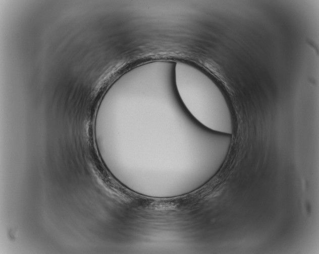 X0000102500491200808080948