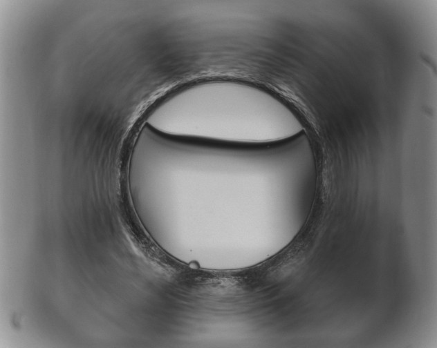X0000102500492200808080948