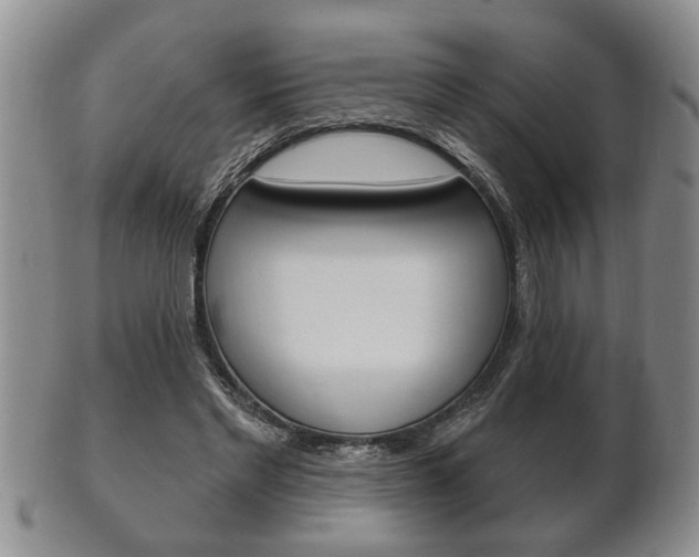 X0000102500493200808080948