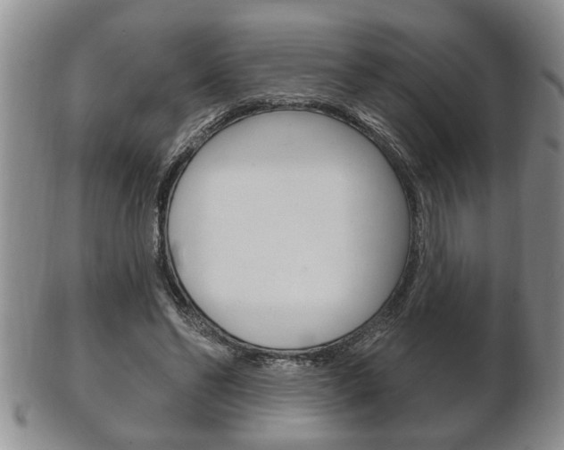 X0000102500494200808080948