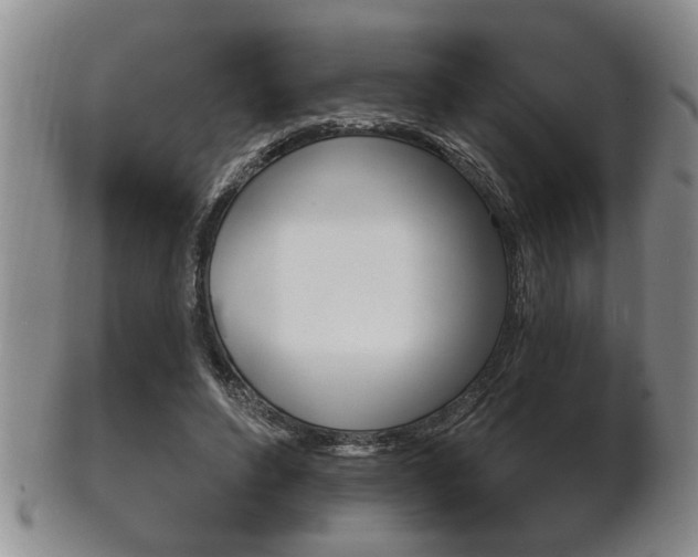 X0000102500496200808080948